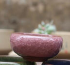 Ningus Ceramic Planter