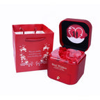 Household Minimalist Rose Jewelry Box Suit